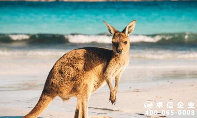 澳洲房產(chǎn)投資稅費有幾種類目