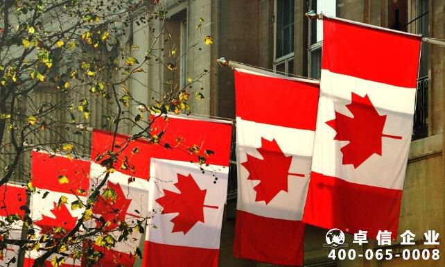 加拿大省公司和聯邦公司有什么區別