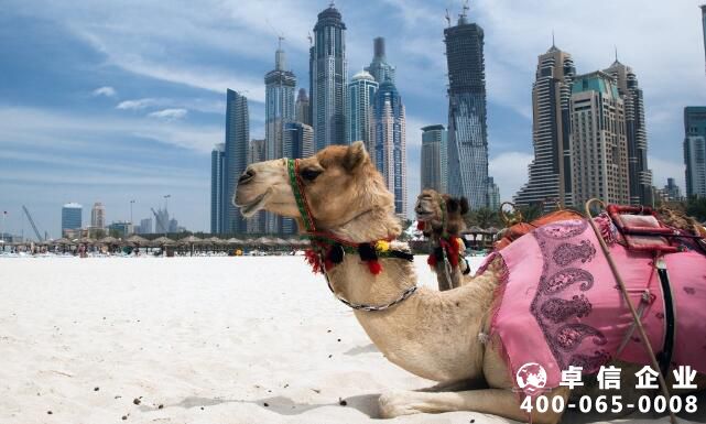 注冊迪拜公司注意事項有哪些