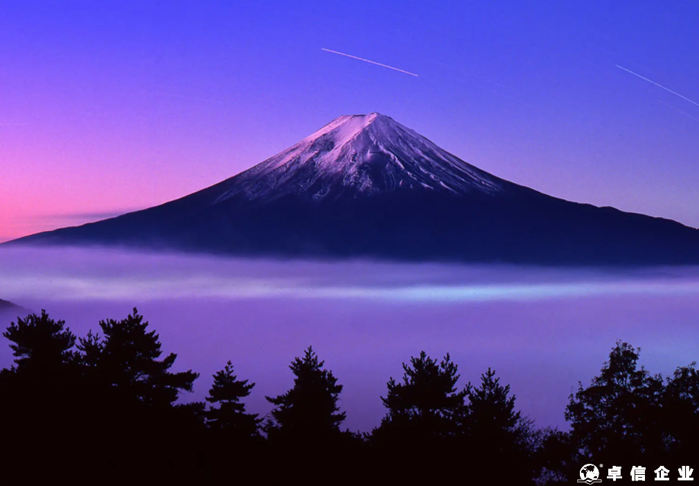 日本公司的類型有哪些？應該如何注冊？