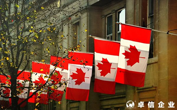 如何申請加拿大商標？（注冊、流程）