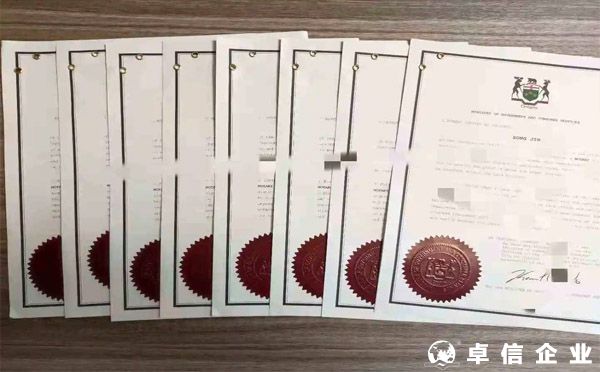 2022英國無犯罪記錄公證認證？（成功案例分析）