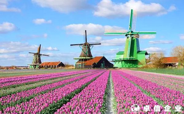 荷蘭公司設立說明