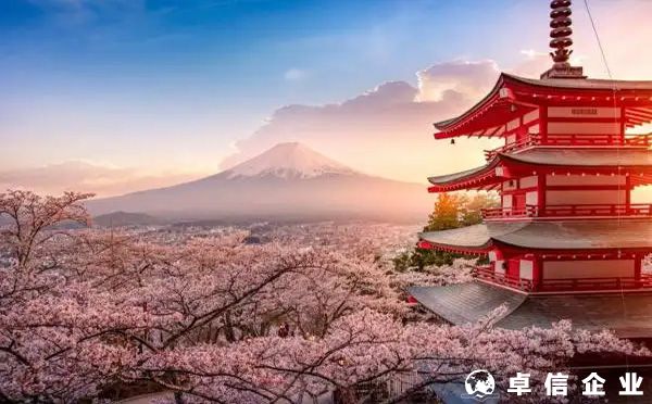 2022日本公司注冊該選擇什么類型的公司？