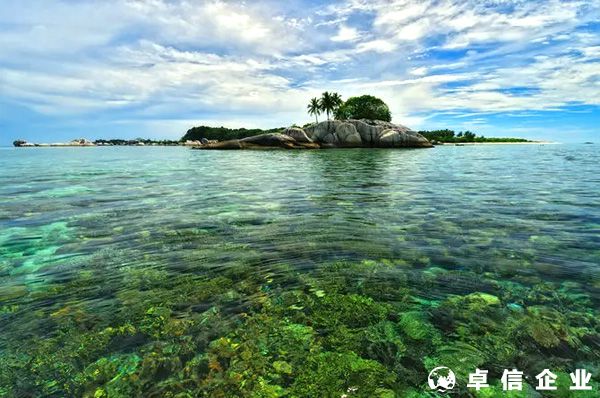 申請印尼公司的注冊類型有哪些