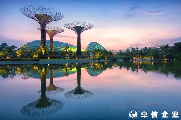 新加坡成立公司稅收減免50%！如何制定稅務減免計劃？