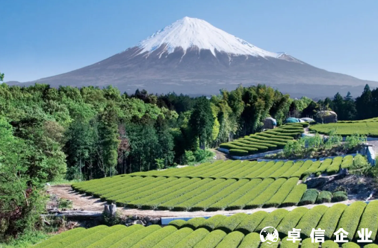 大陸人注冊日本公司需要多少資金？