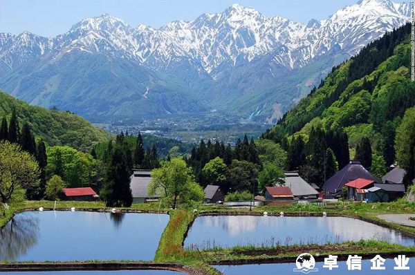 日本消費(fèi)稅（JCT）確立實(shí)行，不合規(guī)賣家將會(huì)面臨罰款