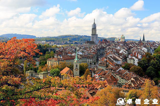 一文讀懂荷蘭公司注冊類型都有哪些