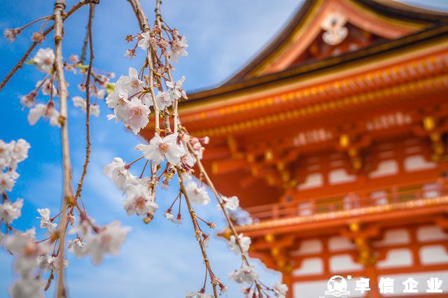 解析日本公司做年審需要提供哪些資料