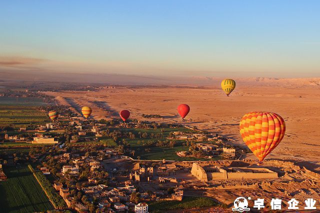 埃及公司股東董事要求詳解?