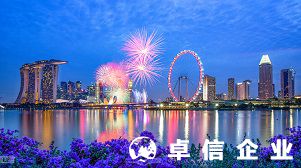 注冊新加坡公司可選結構類型有哪些