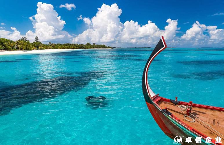 塞舌爾公司主動注銷的條件是什么？